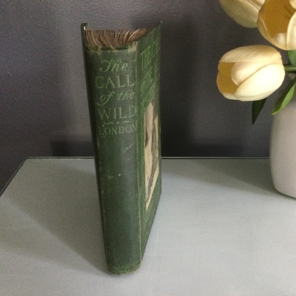 Antique 1903 Copy The Call Of The Wild  by Jack London - Picture 3 of 5